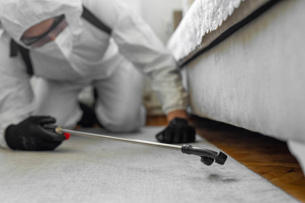 Professional Cockroach Control technician working in Lake City, GA