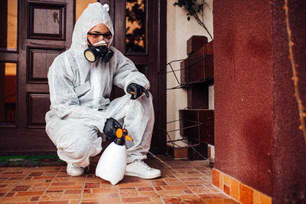 Reliable Cockroach Control contractor in Lake City, GA by Nex Pest Control